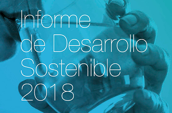 Portada del IDS 2018
