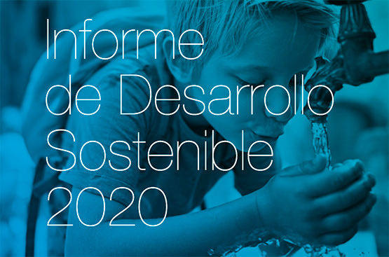 Portada del IDS 2020